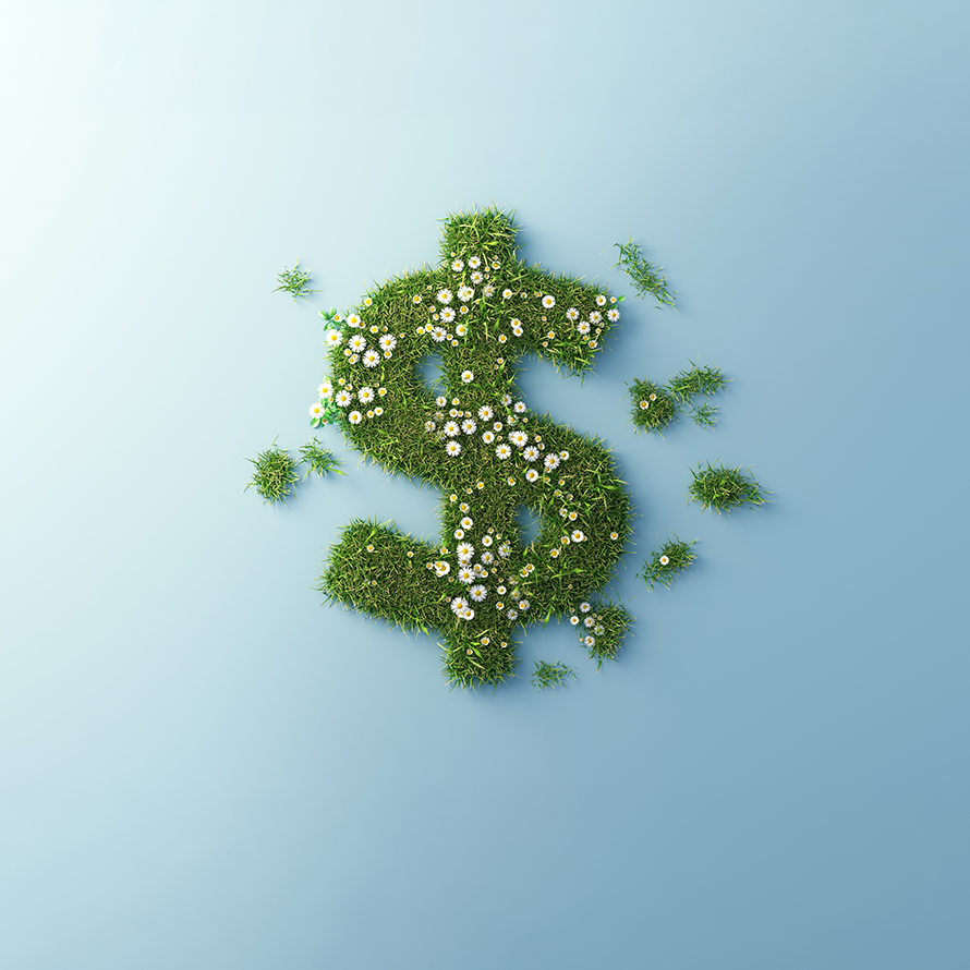 a happy woman smelling a money bouquet walking through a field of Spring flowers