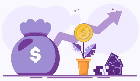 graphic of a moneybag and an upward trending graph